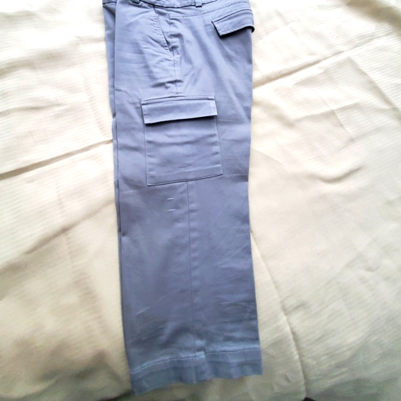 Ann Taylor Pants - Ann Taylor Crop/capri pant
